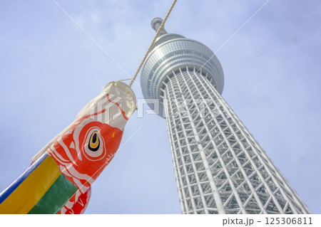 【東京】スカイツリーと鯉のぼり 125306811