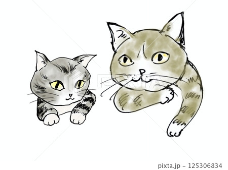 Cat ネコ　猫　ねこイラスト 125306834