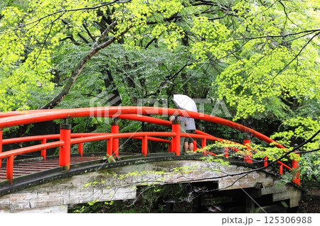 雨の伊香保温泉　湯元河鹿橋 125306988