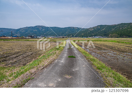 春の滋賀県湖北地方農村風景　長浜市 125307096