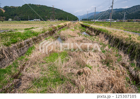 春の滋賀県湖北地方農村風景 長浜市 春の滋賀県湖北地方農村風景 長浜市 125307105