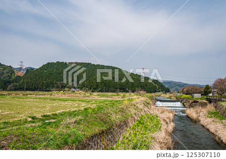 春の滋賀県湖北地方農村風景　長浜市 125307110