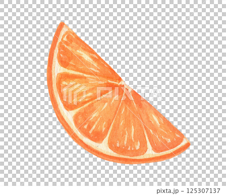 Watercolor orange fruit single slice, isolated food illustration 125307137