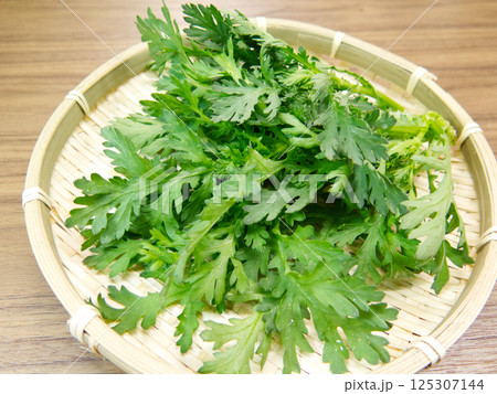 春菊 春菊 125307144