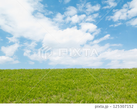 春の草原と青空 125307152