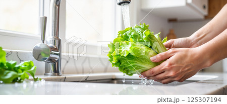 Hands gently washing fresh green iceberg lettuce under running water in a modern kitchen sink, accented by a sleek chrome faucet and a sunlit countertop 125307194