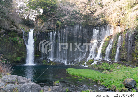 【静岡県】春の白糸の滝 125307244