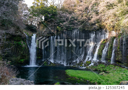 【静岡県】春の白糸の滝 【静岡県】春の白糸の滝 125307245