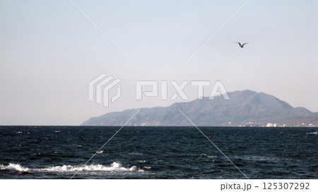 海上を飛ぶカモメと海に突き出る山 125307292