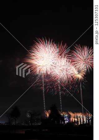 初夏をつげる南の島の花火 初夏をつげる南の島の花火 125307331