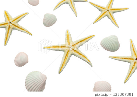 Starfish and seashells scattered on a white surface for summer fun, isolated on white Starfish and seashells scattered on a white surface for summer fun, isolated on white 125307391