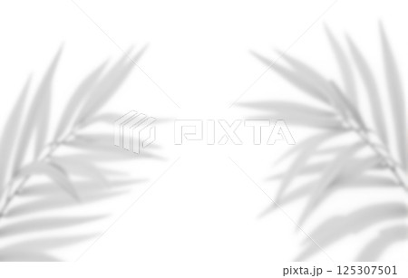 Tropical palm leaf shadows on white background with soft light blur effect, minimalist summer nature pattern for design and presentation Tropical palm leaf shadows on white background with soft light blur effect, minimalist summer nature pattern for design and presentation 125307501