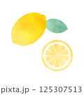 レモンのイラスト-水彩風 125307513