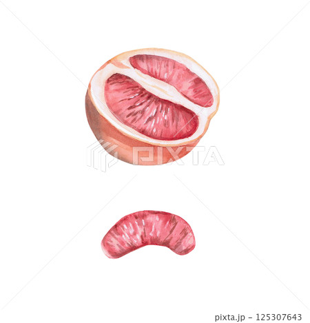 Set of grapefruit halves and slices in isolated watercolor illustration. Part of the fruit for juice packaging design, poster printing, clothing, shop window decoration 125307643