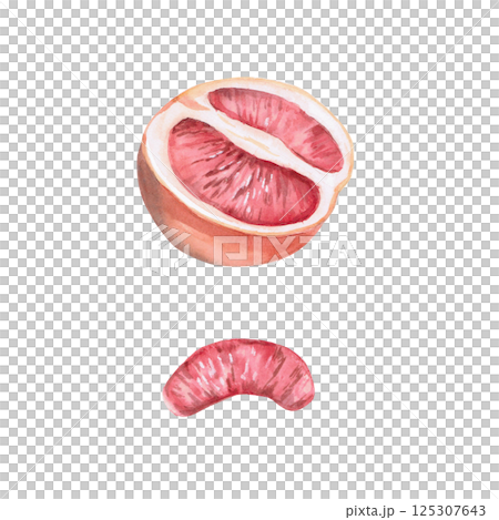 Set of grapefruit halves and slices in isolated watercolor illustration. Part of the fruit for juice packaging design, poster printing, clothing, shop window decoration 125307643