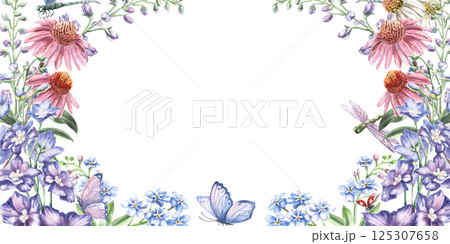 Rectangular frame with flowers of echinacea, delphinium, forget-me-not with dragonflies. Isolated watercolor illustration for design of postcards, printed products, calendars, cosmetics packaging. 125307658