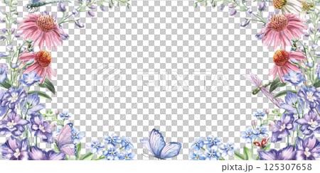 Rectangular frame with flowers of echinacea, delphinium, forget-me-not with dragonflies. Isolated watercolor illustration for design of postcards, printed products, calendars, cosmetics packaging. 125307658