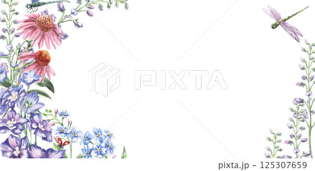 Rectangular frame with a bouquet of echinacea and delphinium flowers with dragonflies. Isolated watercolor illustration for postcards, printed products, calendars, cosmetics packaging. 125307659