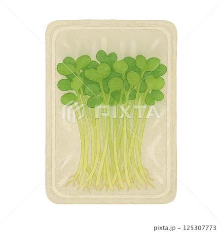 水彩で描いたパック入りのかいわれ大根のイラスト(野菜) 水彩で描いたパック入りのかいわれ大根のイラスト(野菜) 125307773