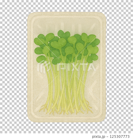 水彩で描いたパック入りのかいわれ大根のイラスト(野菜) 水彩で描いたパック入りのかいわれ大根のイラスト(野菜) 125307773