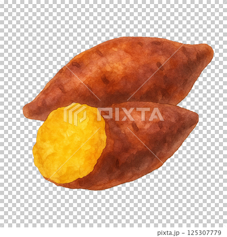 水彩で描いた焼き芋と断面のイラスト（食べ物） 125307779