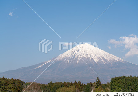 【静岡県】快晴の春の富士山 【静岡県】快晴の春の富士山 125307783
