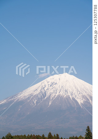 【静岡県】快晴の春の富士山 【静岡県】快晴の春の富士山 125307788