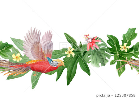Flying golden pheasant, tropical leaves, white and red flowers watercolor seamless border. Hand drawn rainforest nature isolated clipart, sketch style. Exotic paradise bird and plants illustration Flying golden pheasant, tropical leaves, white and red flowers watercolor seamless border. Hand drawn rainforest nature isolated clipart, sketch style. Exotic paradise bird and plants illustration 125307859
