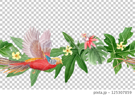 Flying golden pheasant, tropical leaves, white and red flowers watercolor seamless border. Hand drawn rainforest nature isolated clipart, sketch style. Exotic paradise bird and plants illustration 125307859