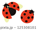 シンプルなてんとう虫のイラスト 125308101