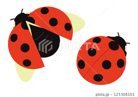 シンプルなてんとう虫のイラスト シンプルなてんとう虫のイラスト 125308101