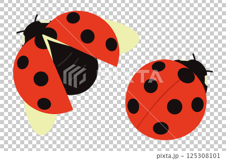 シンプルなてんとう虫のイラスト シンプルなてんとう虫のイラスト 125308101