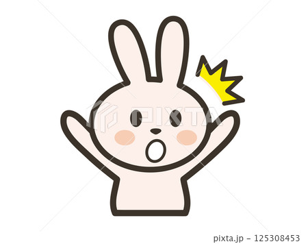 両手を上げてびっくりするかわいいうさぎさんの上半身イラスト 125308453