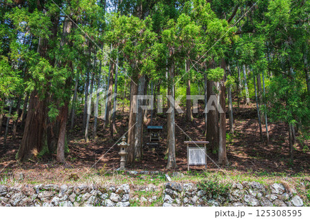 針葉樹林の中の小さな祠 おくやくし之社 長浜市 針葉樹林の中の小さな祠 おくやくし之社 長浜市 125308595