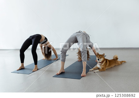 Slim body and health care. Urdhva Dhanurasana , Inverted Bow Pose or Bridge Pose 125308692