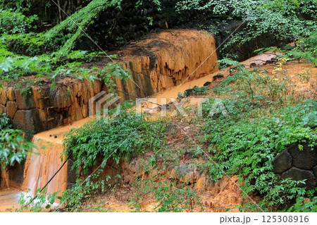 雨の伊香保温泉 湯元河鹿橋付近 雨の伊香保温泉 湯元河鹿橋付近 125308916