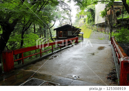 雨の伊香保温泉　猿沢橋 125308919