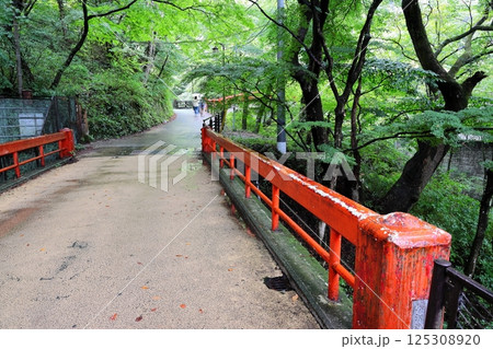 雨の伊香保温泉　猿沢橋 125308920