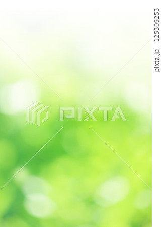 新緑 玉ボケ 縦 新緑 玉ボケ 縦 125309253