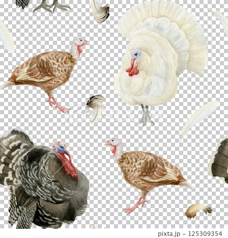 Watercolor turkeys seamless pattern. Black, white and brown farm birds with feathers hand drawn background. Poultry yard animals for Thanksgiving Day designs 125309354