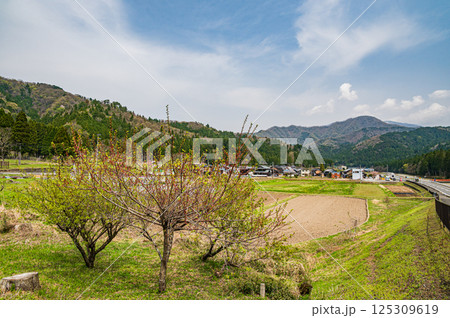 滋賀県湖北地方の農村風景 余呉町下丹生 滋賀県湖北地方の農村風景 余呉町下丹生 125309619