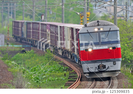 千歳線 北広島-島松 JR貨物 DF200-101(鷲別) 千歳線 北広島-島松 JR貨物 DF200-101(鷲別) 125309835