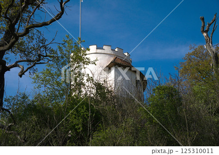 The tower of an ancient castle is visible through the dense foliage of the trees The tower of an ancient castle is visible through the dense foliage of the trees 125310011