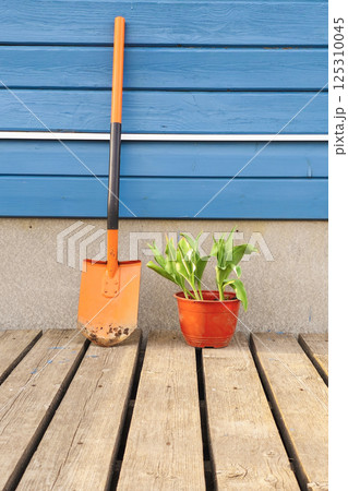 spade and a flower in a pot near wooden wall of house 125310045