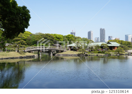 浜離宮恩賜庭園 125310614