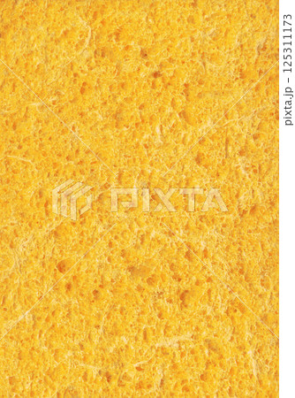 Sponge. Abstract texture 125311173