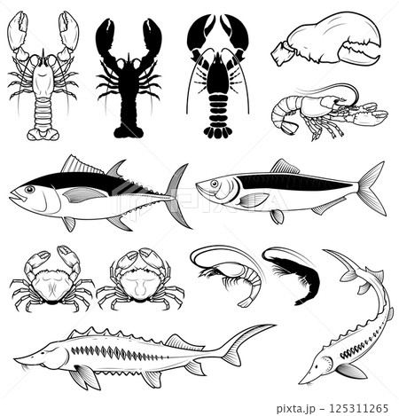 Set of the tuna, herring, Sturgeon,  crabs, shrimps, lobsters. Retro vector design graphic element, emblem, logo, insignia, sign, identity, logotype, poster. Set of the tuna, herring, Sturgeon,  crabs, shrimps, lobsters. Retro vector design graphic element, emblem, logo, insignia, sign, identity, logotype, poster. 125311265