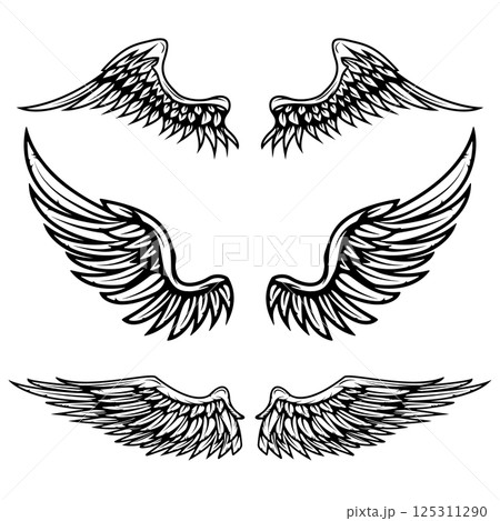 Set of vintage vector wings isolated on white background. Design elements for logo, label, emblem, sign, brand mark. Vector illustration. Set of vintage vector wings isolated on white background. Design elements for logo, label, emblem, sign, brand mark. Vector illustration. 125311290