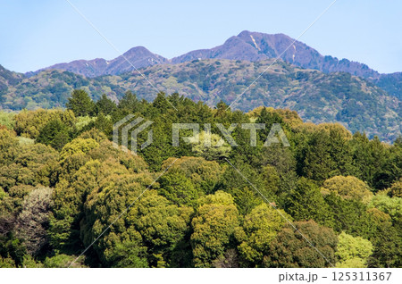 春山【鈴鹿山麓・三重県 菰野町】 春山【鈴鹿山麓・三重県 菰野町】 125311367