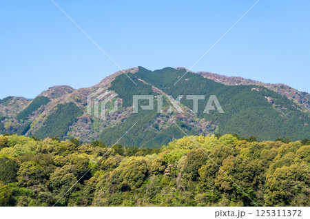 春山【鈴鹿山麓・三重県 菰野町】 125311372